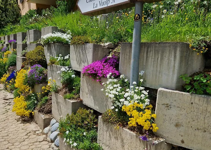 Chesa Bellaval, Haus Leivra 2 1 2-zimmerwohnung Apartman Silvaplana